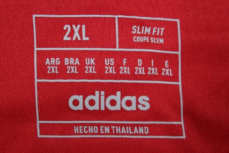 Wales Soccer Jersey Home Replica 2024