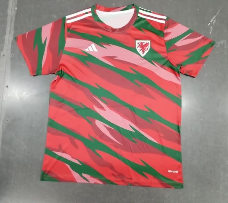 Wales Training Jersey Replica 2024