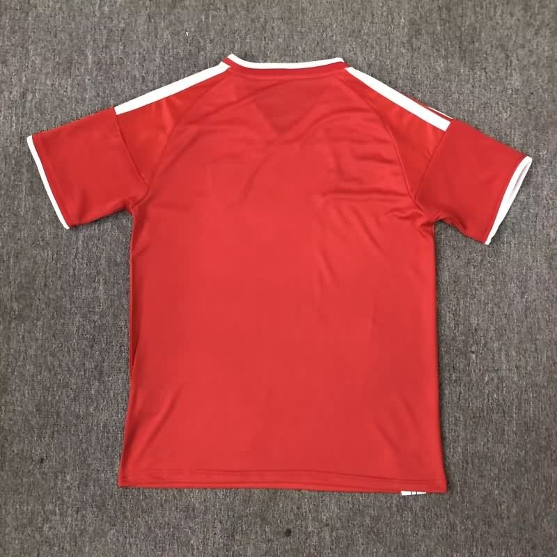 AAA Quality Wales 2026 Red Soccer Jersey