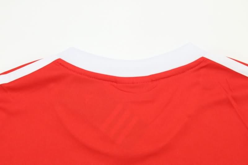 AAA Quality Atletico Independiente 1994/95 Home Retro Soccer Jersey