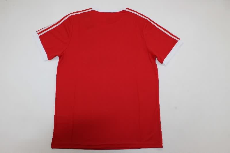 AAA Quality Hamburger SV 1974/75 Away Retro Soccer Jersey