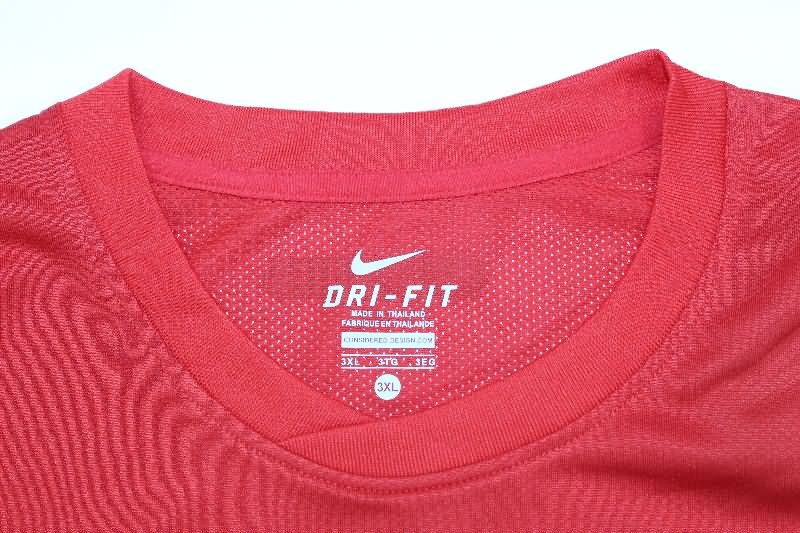 AAA Quality Portugal 2010 Home Long Sleeve Retro Soccer Jersey (Player)