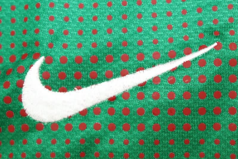 AAA Quality Portugal 2010 Home Long Sleeve Retro Soccer Jersey (Player)