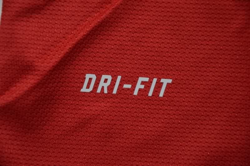 AAA Quality Portugal 2012 Home Retro Soccer Jersey (Player)