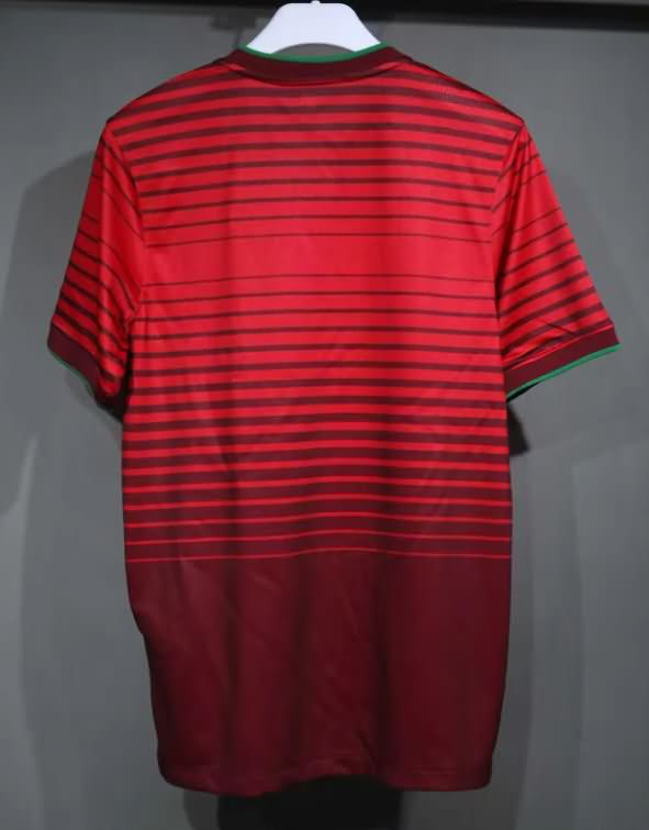 AAA Quality Portugal 2014 Home Retro Soccer Jersey (Player)