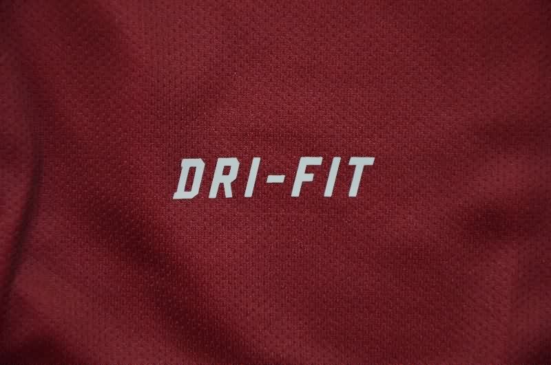 AAA Quality Portugal 2014 Home Retro Soccer Jersey (Player)