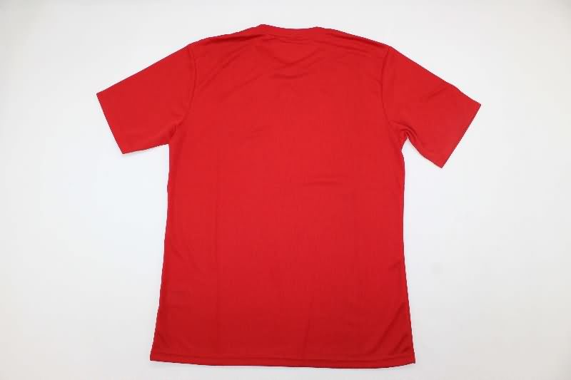 Spain Soccer Jersey Home Retro Replica 2018