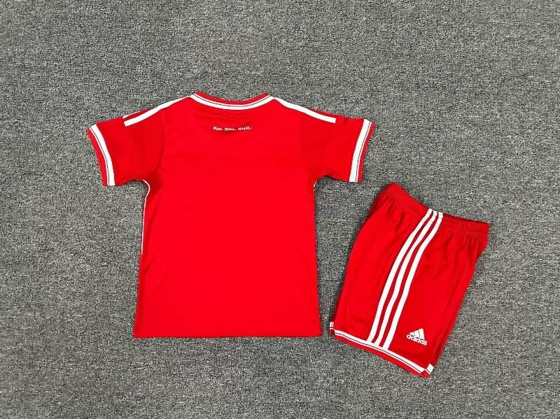Kids Bayern Munich 2012/13 Home Final Soccer Jersey And Shorts